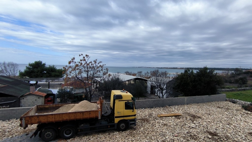 Widok wnętrza skorupy.