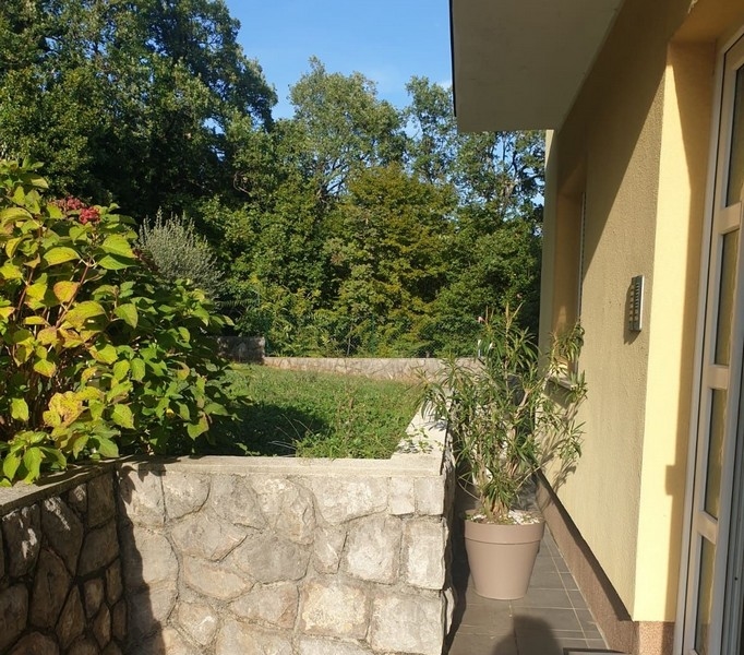 Zadbany ogród na tarasie posesji.