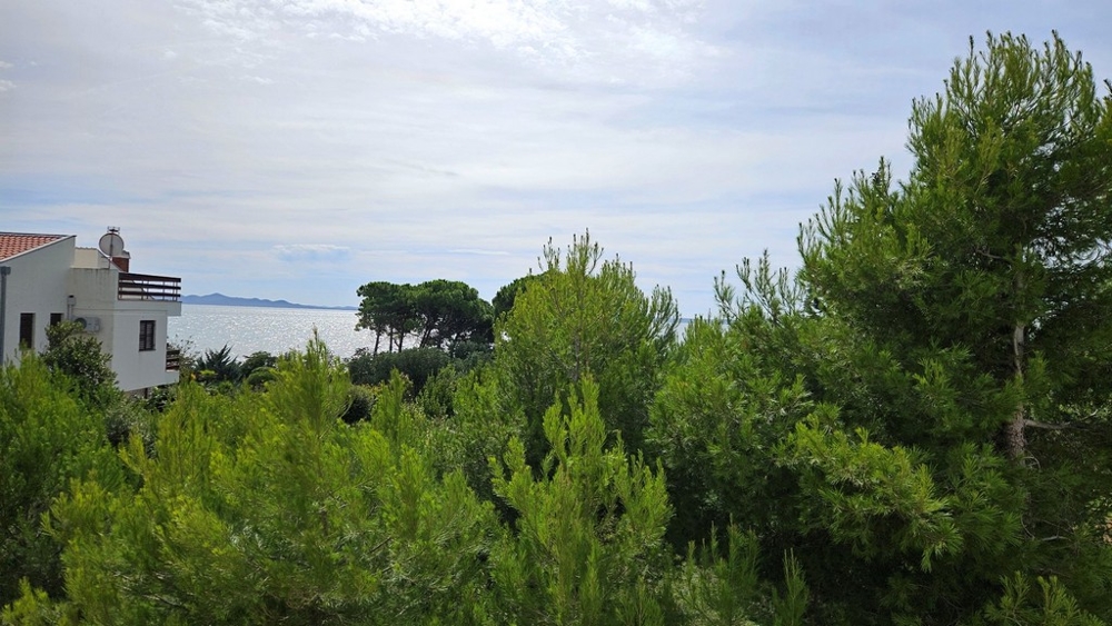 Widok na morze za gęstymi zielonymi drzewami, z białym domem i horyzontem w tle.