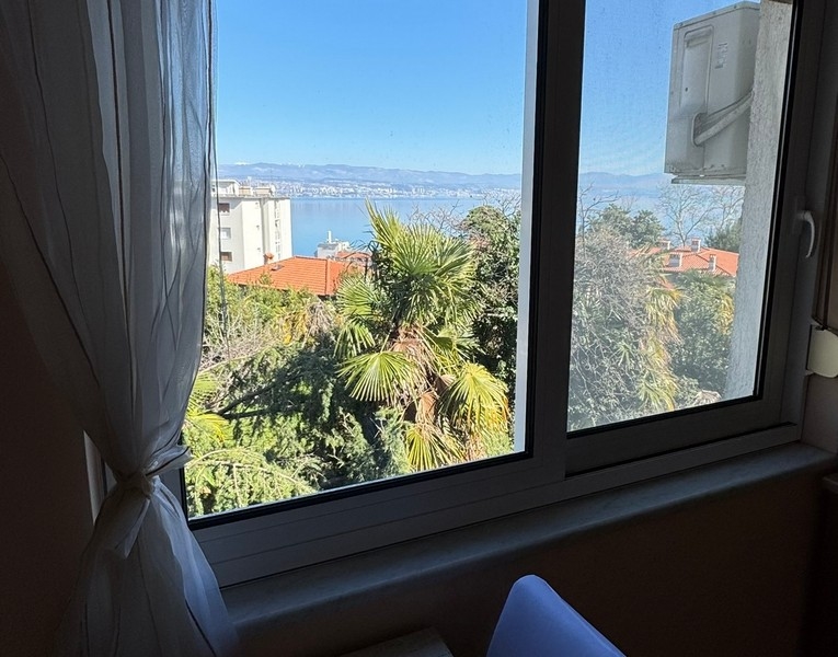 Widok z okna na morze i palmy na pierwszym planie