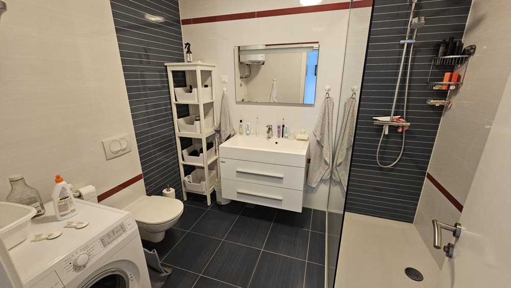 Łazienka z prysznicem, toaletą i pralką