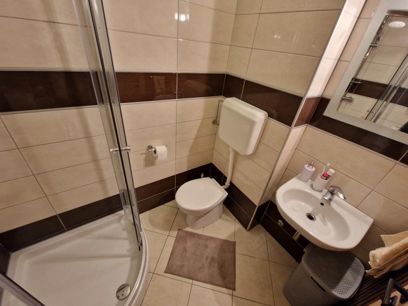 Łazienka z prysznicem i umywalką