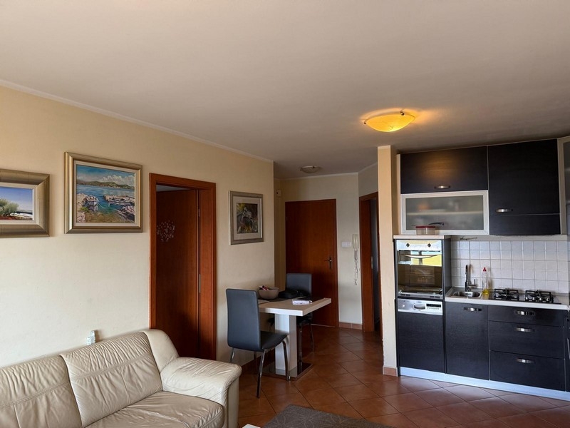 Otwarty salon i kuchnia z wyposażoną kuchnią