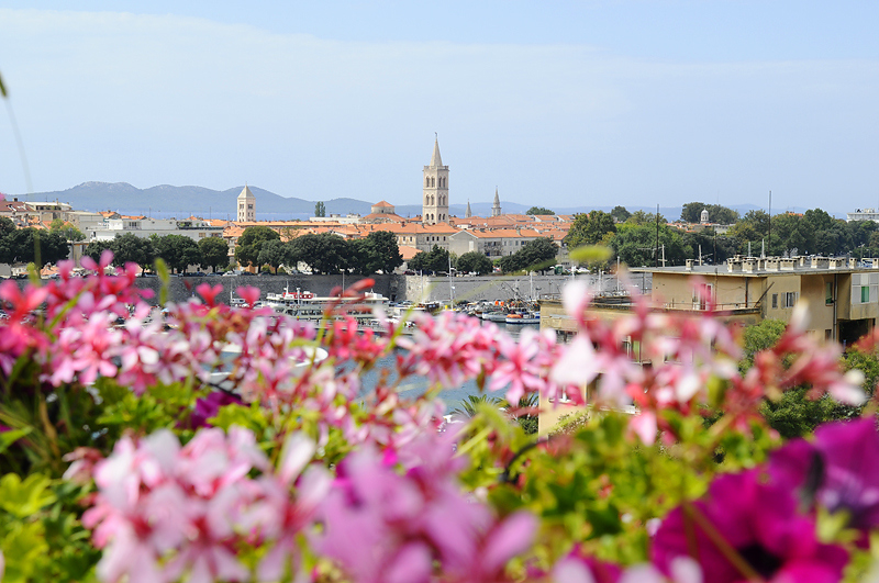Kup luksusowe nieruchomości w Chorwacji, Dalmacji, Zadarze.
