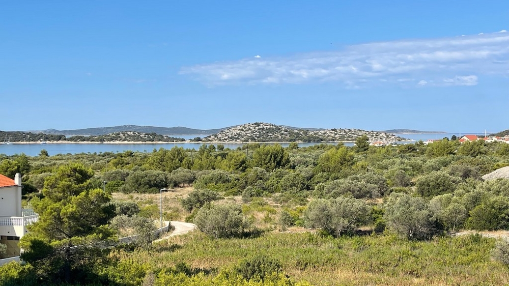 Szeroki widok na gaje oliwne na zatokę Vodice