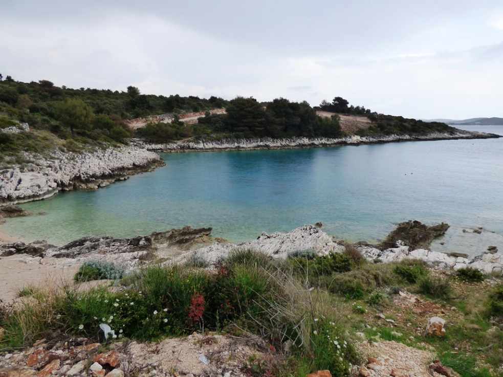 Mała zatoczka w pobliżu Rogoznicy, która graniczy z działką budowlaną na sprzedaż w Chorwacji. Agenci nieruchomości Chorwacja - Panorama Scouting