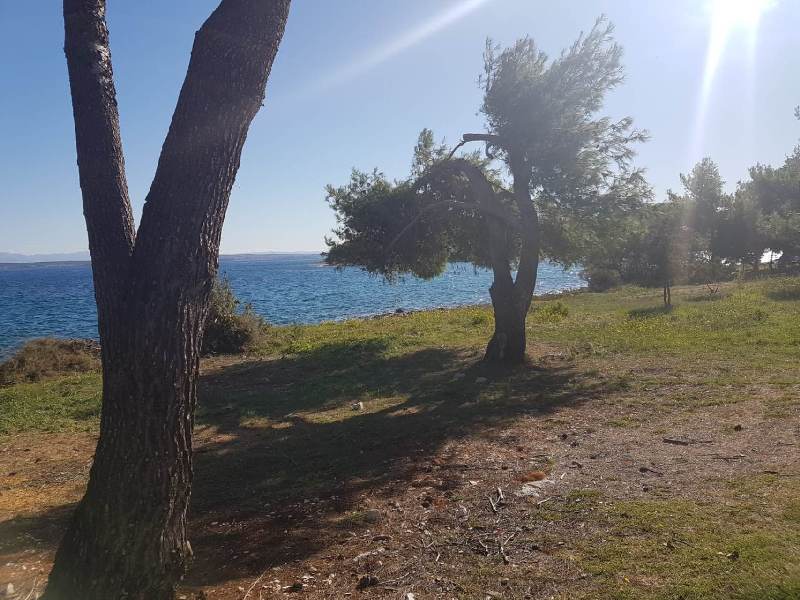 Nieruchomości nad morzem w Chorwacji - Panorama Scouting Real Estate.