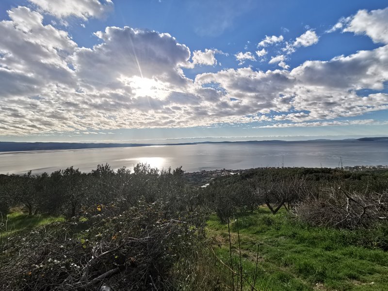 Nieruchomości Chorwacja.