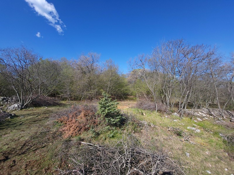 Sprzedam ziemię w Chorwacji, Zatoka Kvarner, wyspa Krk - Panorama Scouting Immobilien G408, cena zakupu: 480 000 EUR - zdjęcie 3