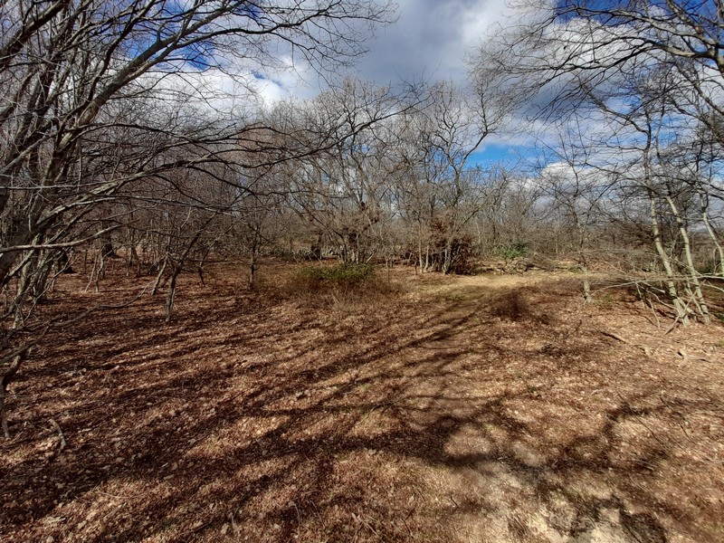 Kup ziemię w Chorwacji, Zatoka Kvarner, wyspa Krk - Panorama Scouting Immobilien G408, cena zakupu: 480 000 EUR - Zdjęcie 4