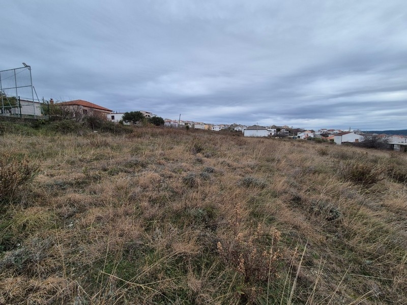 Sprzedam tanio dużą działkę w Chorwacji.