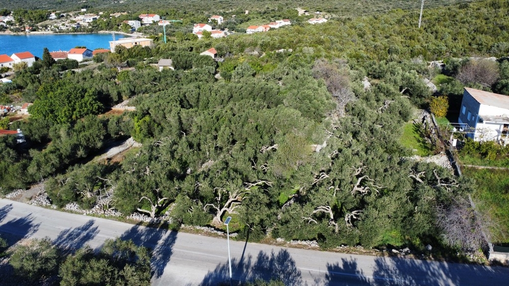 Sprzedam działkę budowlaną w Chorwacji.