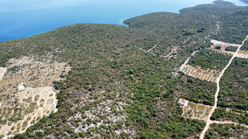 Nieruchomość rolna.