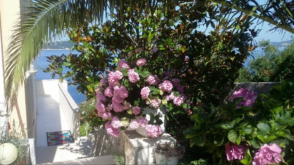 Widok na śródziemnomorski ogród i wejście do nieruchomości - kup willę w Chorwacji.