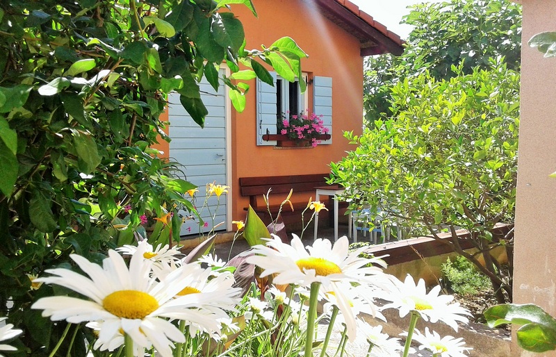 Wrażenia z śródziemnomorskiego ogrodu posesji H1816, Zadar, Chorwacja.