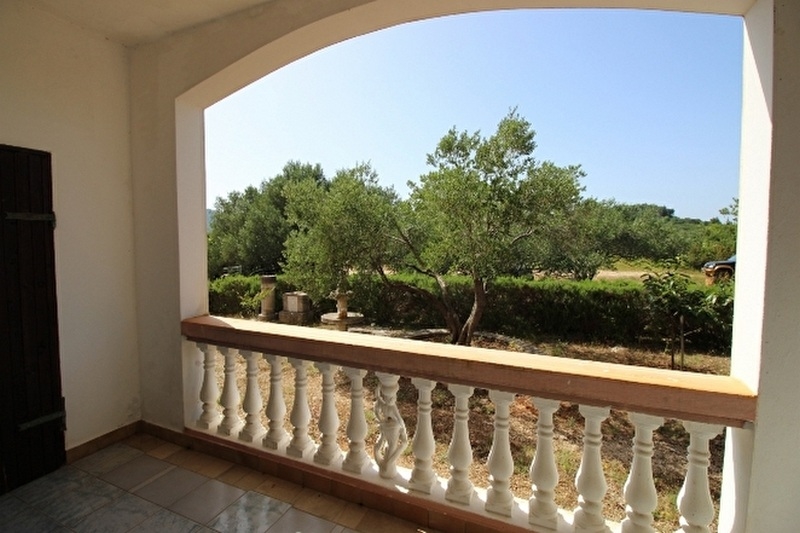 Widok z parteru na zieloną okolicę.