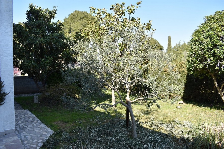 Sprzedam dom w Chorwacji, Dalmacja Północna, wyspa Ugljan / Pasman / Dugi Otok - Panorama Scouting Immobilien H2133, cena zakupu: 520 000 EUR - zdjęcie 5