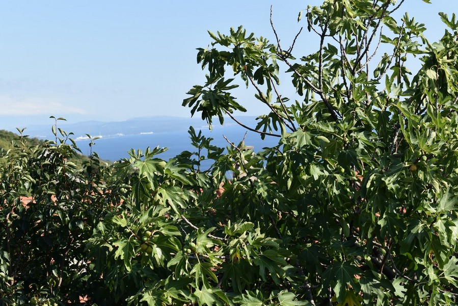 Kup dom w Chorwacji, Zatoka Kvarner, Rijeka - Panorama Scouting Immobilien H2263, cena zakupu: 630 000 EUR - zdjęcie 6