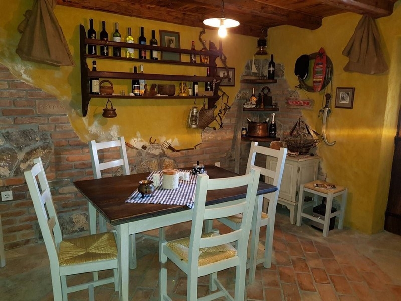 Dom z zielonym ogrodem i palmami