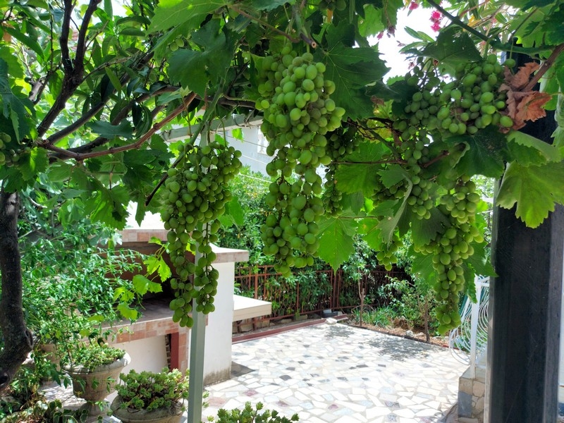 Miejsce na grilla w ogrodzie domu