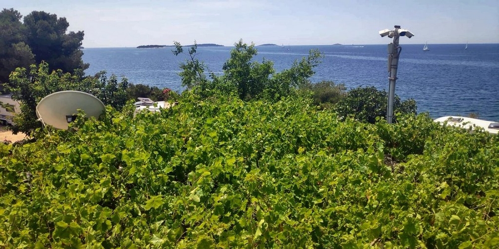 Widok na morze z nieruchomości H2634 w Chorwacji - Panorama Harcerska.