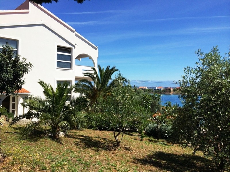 Na sprzedaż nadmorska willa na wyspie Ugljan - Panorama Scouting Croatia.