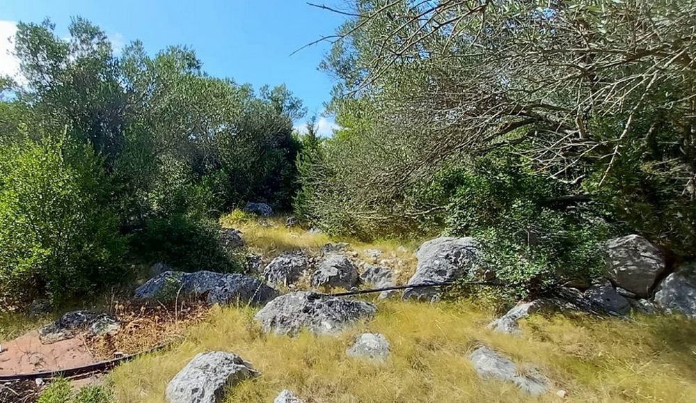 Piękna i cicha posiadłość z parterowym domem nad morzem