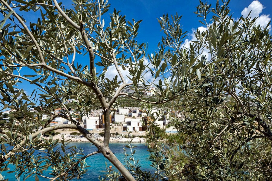 Panorama z widokiem na morze - Panorama Harcerska - Kup willę w Chorwacji