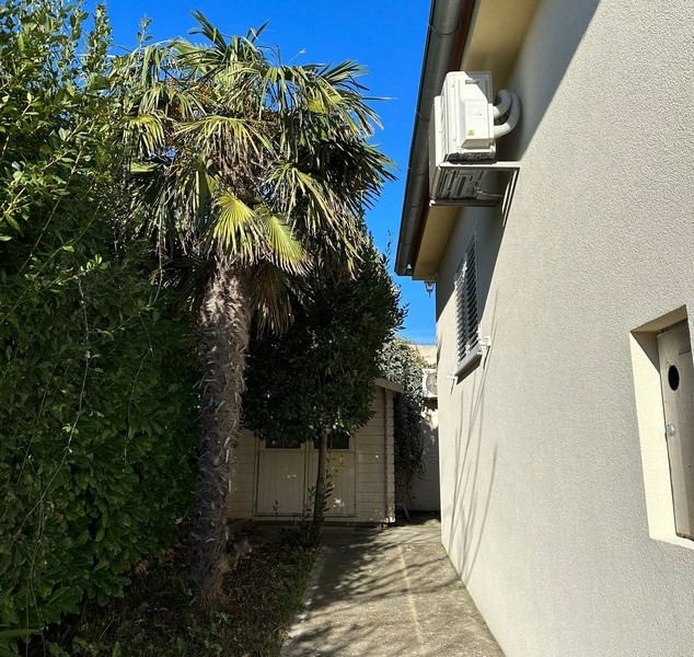 Strefa wejściowa z palmą.