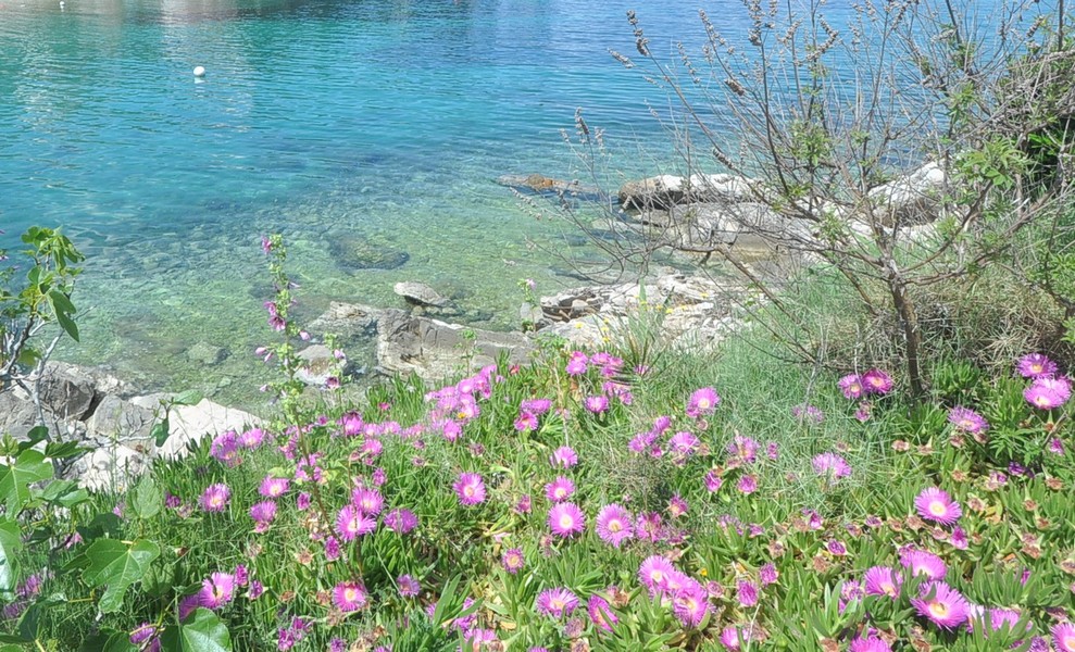 Idylliczny nadmorski krajobraz w pobliżu domu w Chorwacji, idealny do zakupu.