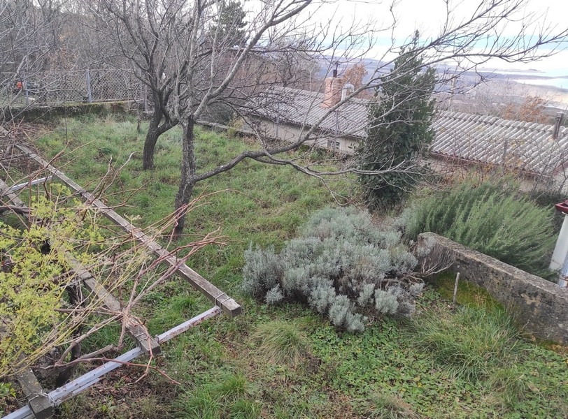 Przestronny ogród z widokiem na morze - Nieruchomości Chorwacja