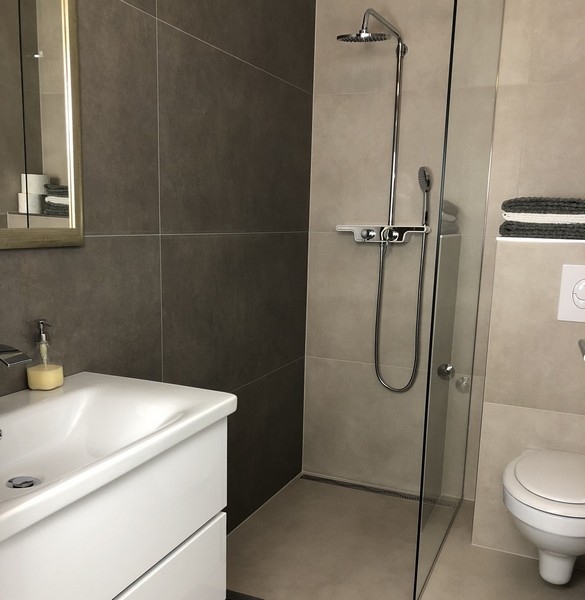 Nowoczesna łazienka ze szklanym prysznicem i stylowymi płytkami w nieruchomości w Chorwacji