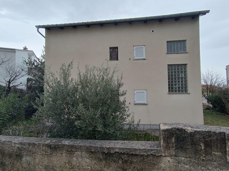 Widok z tyłu budynku mieszkalnego na sprzedaż w Crikvenicy w Chorwacji, z drzewem oliwnym na pierwszym planie