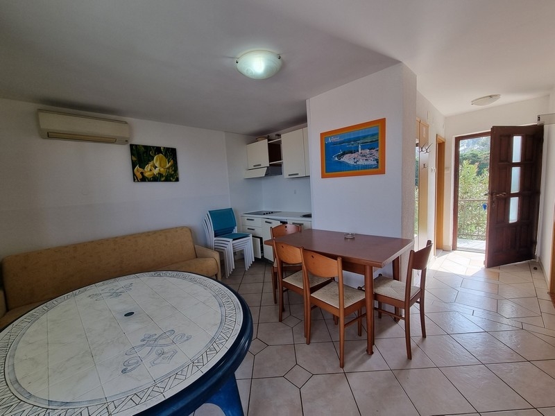 Sprzedam dom w Chorwacji, Istrii, Novigradzie - Panorama Scouting Immobilien H2937, cena zakupu: 639 000 EUR - zdjęcie 10