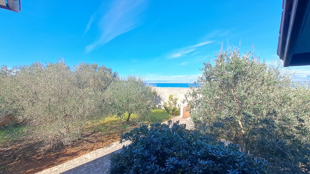 Widok na morze pośród śródziemnomorskiej roślinności z nadmorskiej posiadłości w Chorwacji