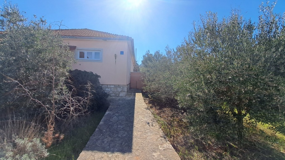 Ścieżka do wejścia do domu z drzewami oliwnymi z boku, posiadłość nadmorska w Chorwacji