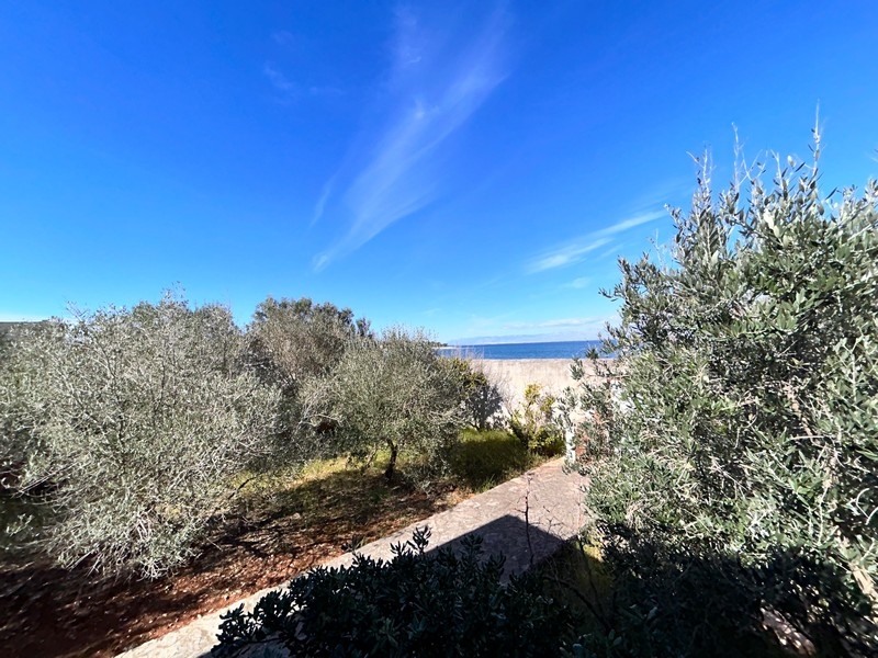 Słoneczna ścieżka ogrodowa z widokiem na morze, część nadmorskiej posesji w Chorwacji