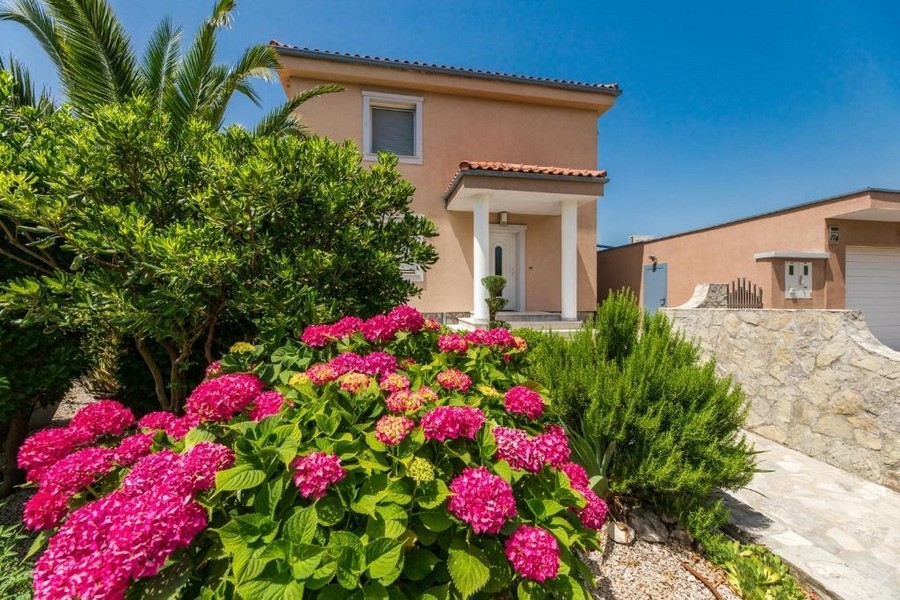 Widok na ogród budynku mieszkalnego w Chorwacji z kwitnącymi hortensjami i roślinami śródziemnomorskimi