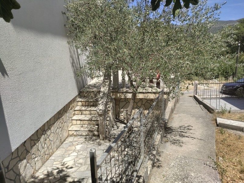 Boczna ścieżka ogrodowa z drzewami oliwnymi, uroczy detal do zakupu domu w Chorwacji