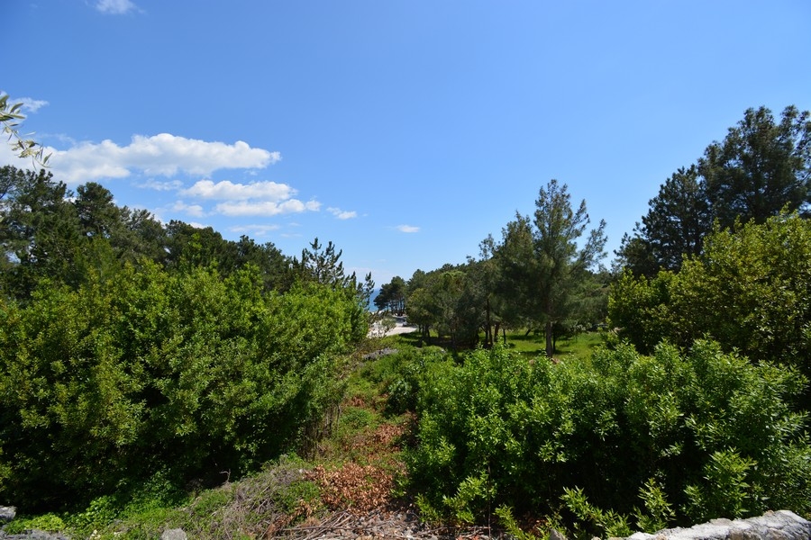 Widok na plażę i morze z tarasu na parterze.