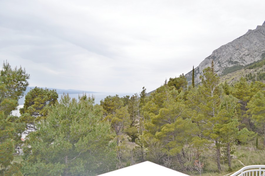 Widok z tarasu na góry, las sosnowy i morze.