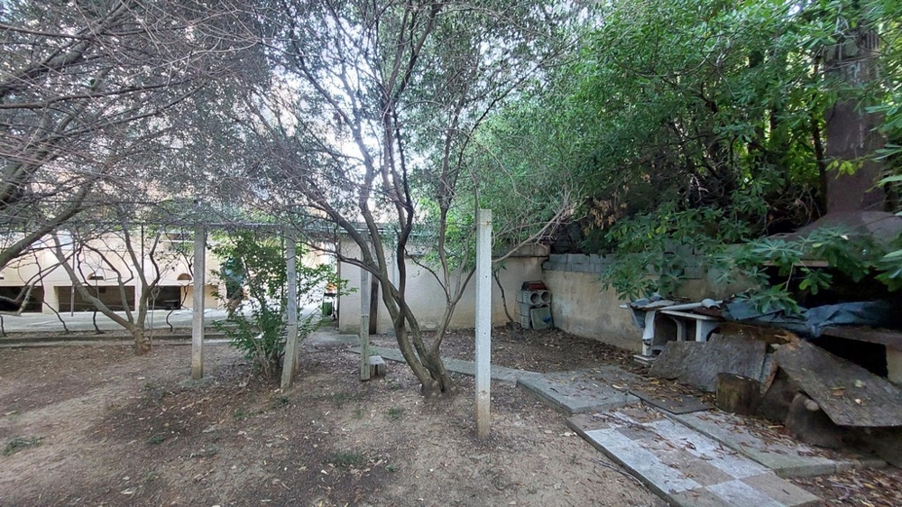 Ogród z drzewami i roślinami w domu w Chorwacji