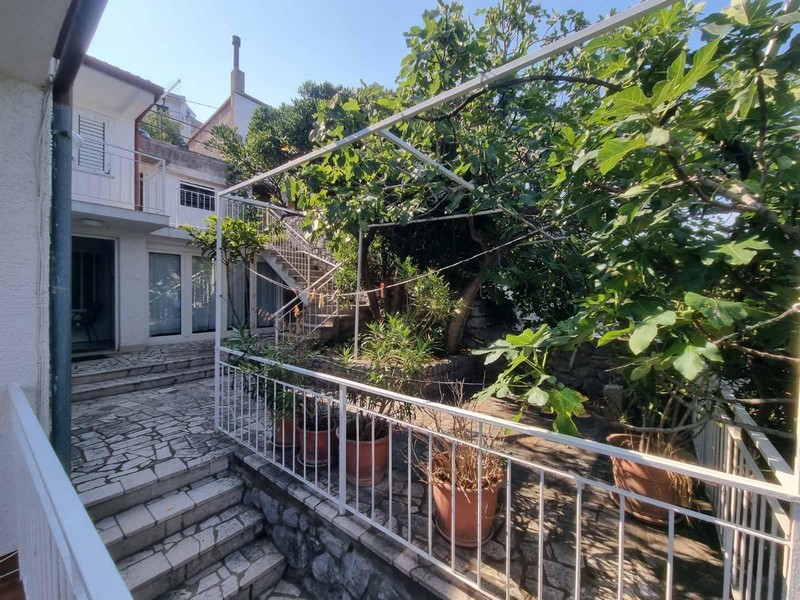 Ogród ze schodami i roślinami doniczkowymi w domu