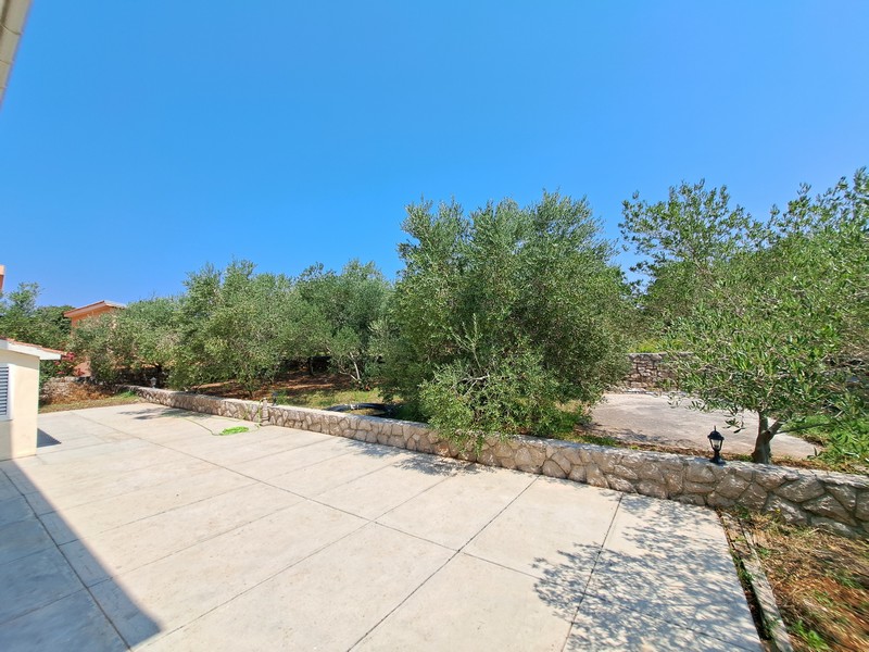 Taras i widok na drzewa oliwne przed domem.