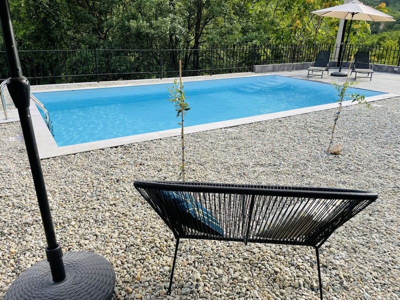 Basen w ogrodzie, otoczony kamykami, z widokiem na las