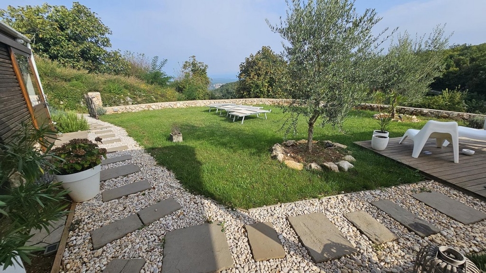 Zadbany ogród z drzewem oliwnym i leżakami, otoczony przyrodą i kamiennym murem.
