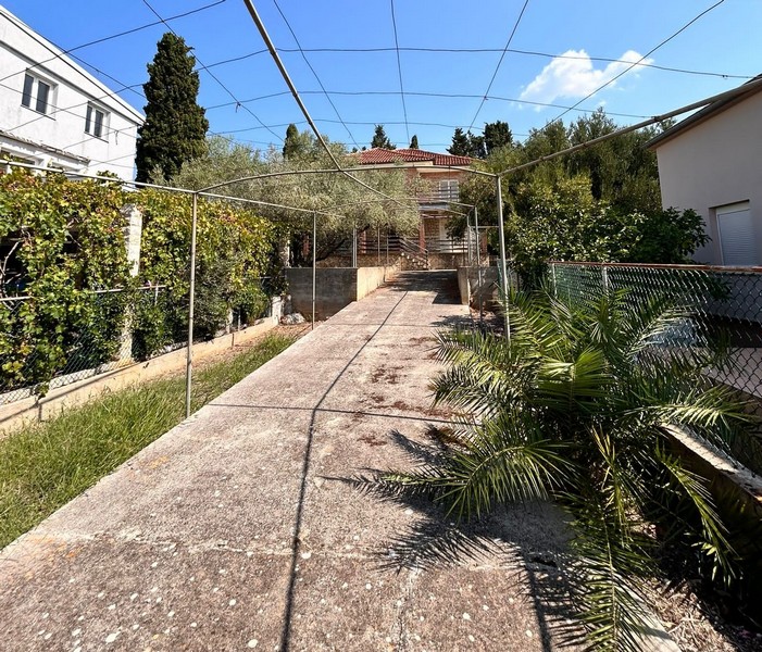 Zadbany podjazd z palmami i widokiem na posesję