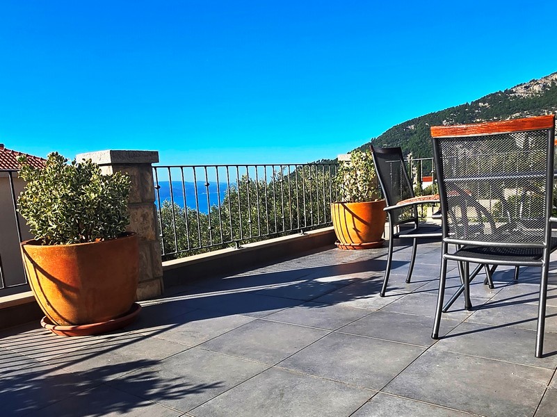 Słoneczny taras z roślinami