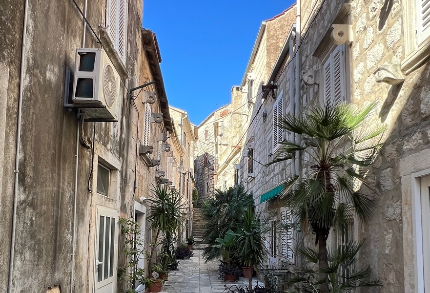 Aleja z palmami i kamiennymi domami w Orebicu.