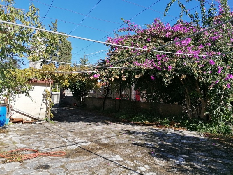 Ogród z bugenwillami i kamienną podłogą